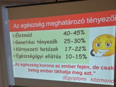 egészség tényezői