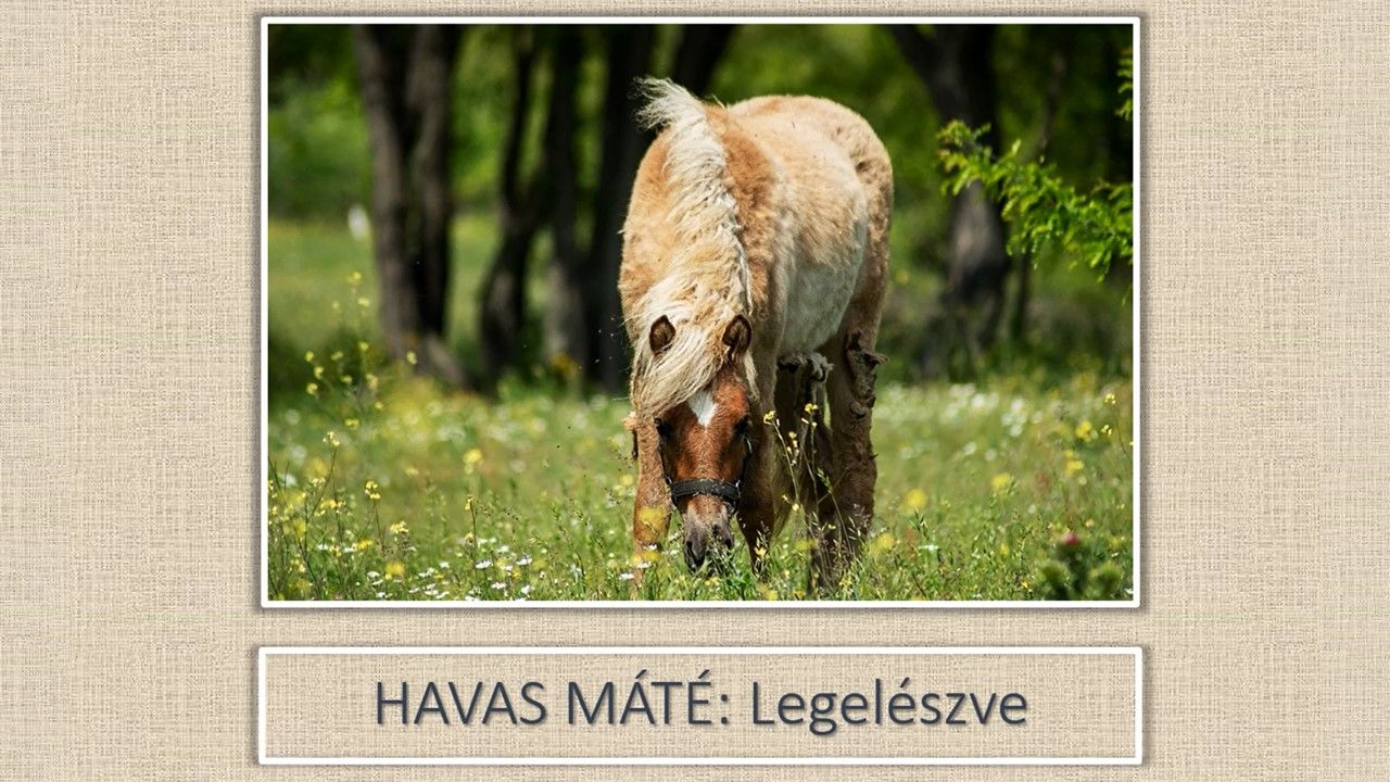 Mi természetünk 2